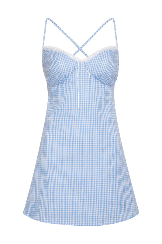 the foster dress in blue gingham