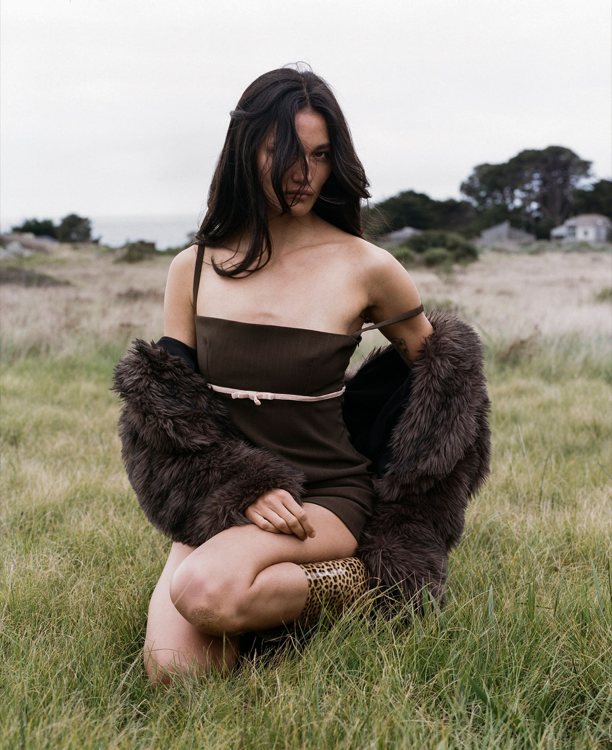 The Devon Dress in Brown