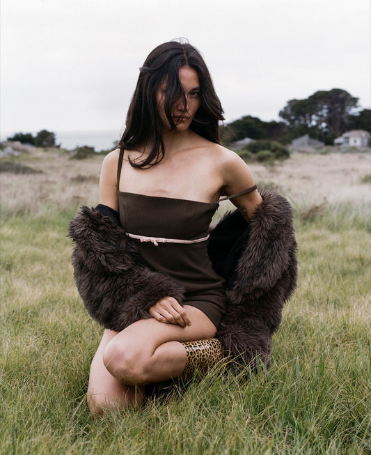 The Devon Dress in Brown